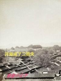 废材的飞升