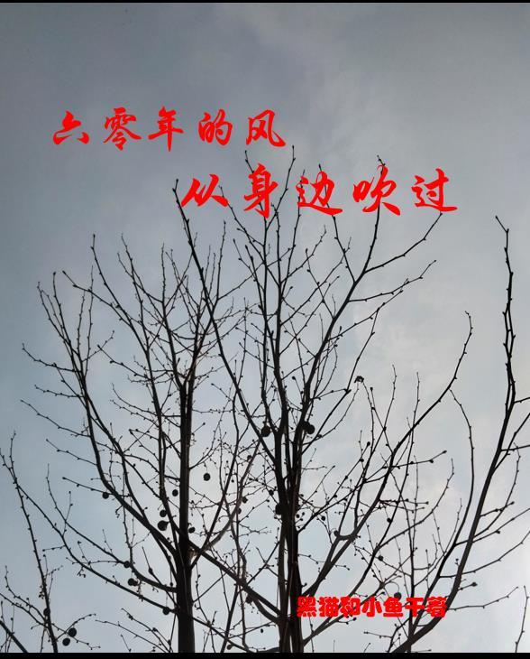 斗罗之我的老婆是女王
