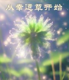 海贼开局幻兽种果实