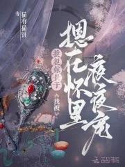 穿越林家子