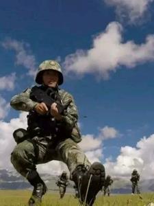 怎么可以看上美貌师弟! 春赏繁樱