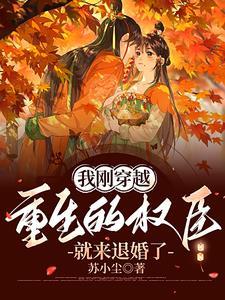男主角叫烬的