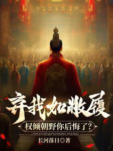 宝可梦新旅途82集