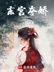 宫婢txt有琳