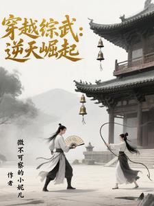穿越红楼的戏剧人生TXT
