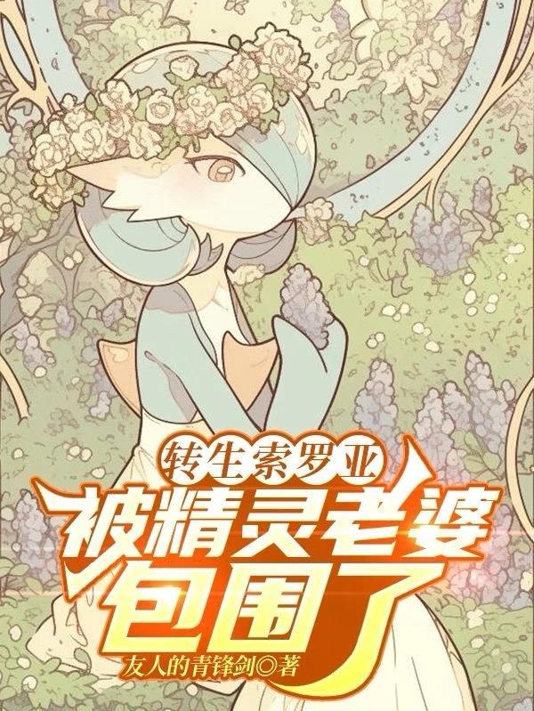 武侠之小乞儿 枫尾
