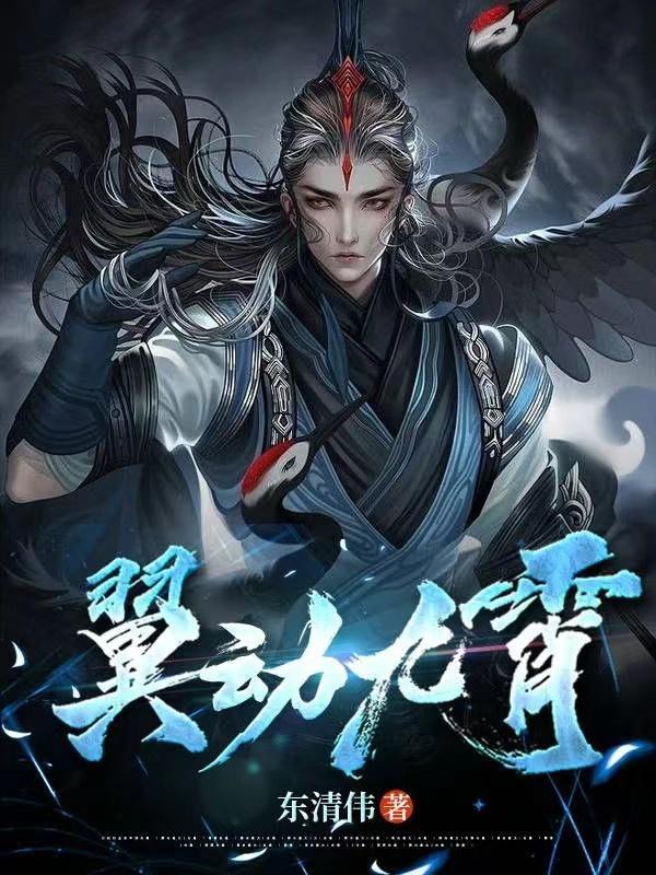 华云飞实力